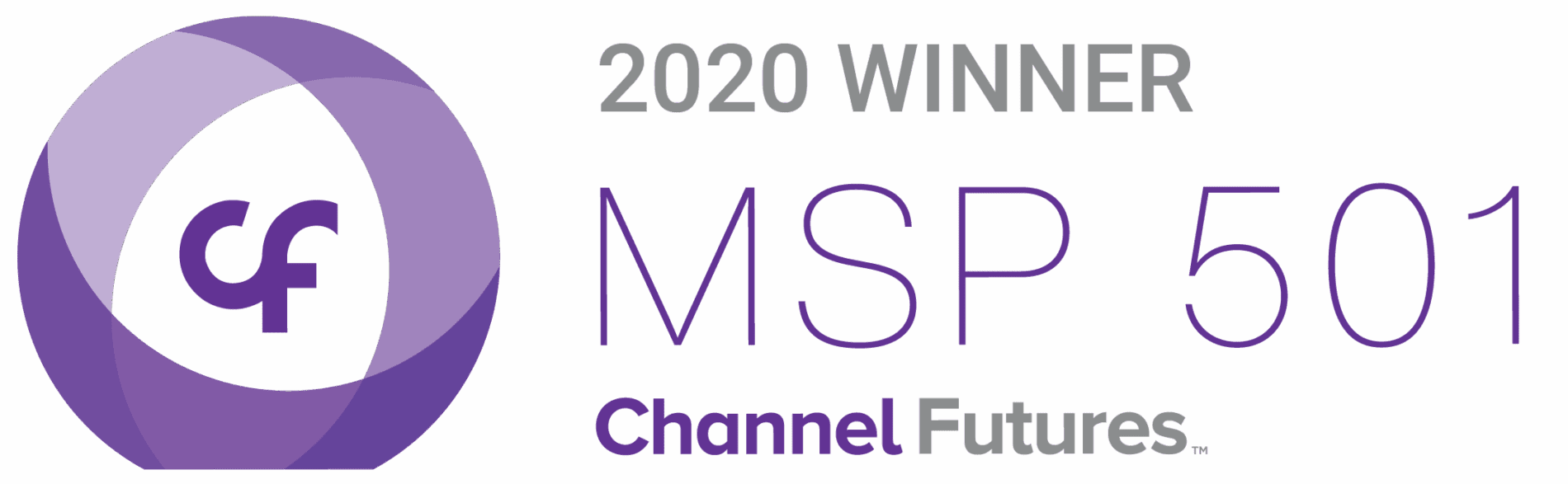 IT support - MSP 501