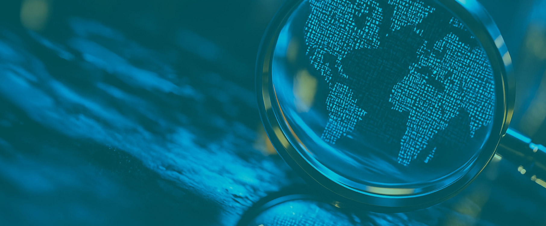 Vulnerability Management